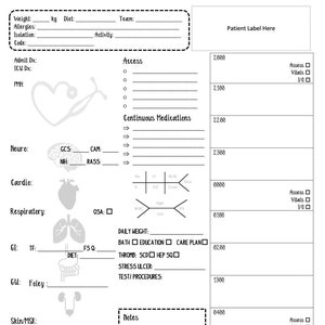 Jeanine's Nursing Report Sheet