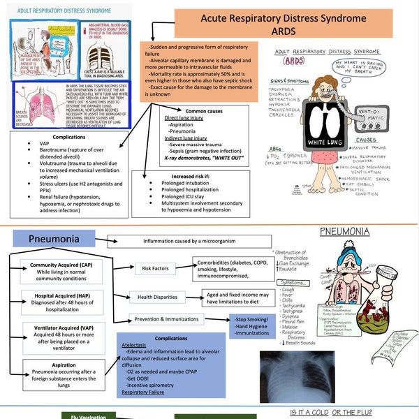 ARDS, Pneumonia, Flu/Ventilation/Asthma/COPD/Allergic Rhinitis/TB/Pneumonia/ Nursing School/ Nursing Study Guide/Nursing Student