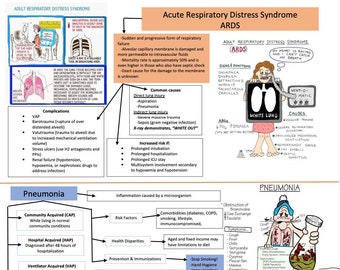 ARDS, Pneumonia, Flu/Ventilation/Asthma/COPD/Allergic Rhinitis/TB/Pneumonia/ Nursing School/ Nursing Study Guide/Nursing Student