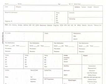 Meg's Nursing Report Sheet