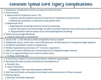 Spinal Cord Injury/NEURO/Seizure/Drugs/ Nursing School/ Nursing Study Guide/ Nursing Student/ Nursing Student Study Guide