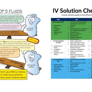 Electrolyte Picture Cards ONLY: Nursing Student Study Guide