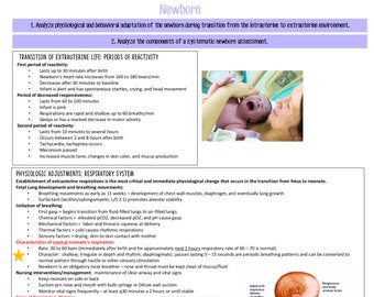 Newborn: Maternity/Obstetrics/OB Nursing Student Study Guide