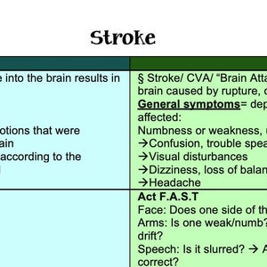 May include: A green and white chart with the word "Stroke" in a green box at the top. The chart is divided into two columns, one labelled "Nursing" and the other labelled "Patho". The chart describes the symptoms and causes of a stroke.