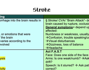 Stroke (Overview)/NEURO/Seizure/Drugs/ Nursing School/ Nursing Study Guide/ Nursing Student/ Nursing Student Study Guide