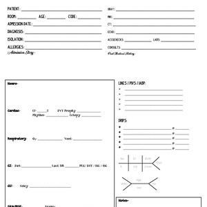 Nursing Report Sheet Z