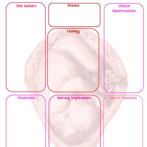 May include: A medical chart template with headings for Risk Factors, Disease, Etiology, Clinical Manifestations, Treatment, Nursing Implications, Patient Education, and Diagnosis. The chart is illustrated with a drawing of a pregnant woman.