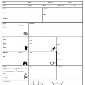Nursing Report Sheet B