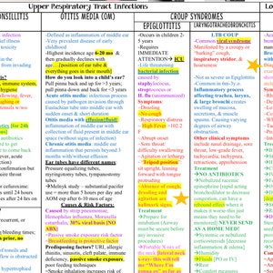 Pediatric Module Two: Pediatric Nursing Study Guide - Etsy