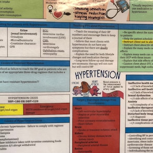 Cardiac Nursing/Hypertension/Angina/CAD/HTN/Drugs/ Nursing School/ Nursing Study Guide/ Nursing Student/ Nursing Student Study Guide