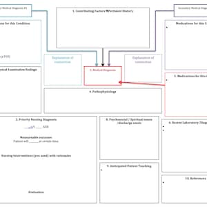 Nursing Concept Map/Drug List/Nursing Assessment/Nursing School/Nursing Student/Pharmacology/Nursing Digital Download/RN Printable