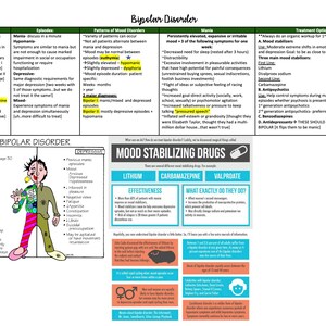 May include: A diagram explaining bipolar disorder with a cartoon illustration of a person with two faces, one manic and one depressed. The diagram includes information about the symptoms, episodes, patterns of mood disorders, mania, treatment options, and mood stabilizing drugs.