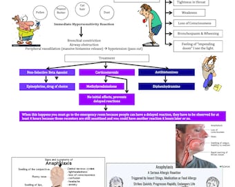 Anaphylaxis/Ventilation/Asthma/COPD/Allergic Rhinitis/TB/Pneumonia/ Nursing School/ Nursing Study Guide/Nursing Student