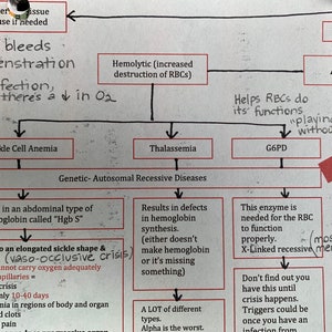 Puede incluir: Un diagrama dibujado a mano que explica las causas de la anemia, incluyendo la anemia de células falciformes, la talasemia y la deficiencia de G6PD. El diagrama también incluye información sobre las causas más comunes de la anemia, como la pérdida de sangre y la deficiencia de hierro.