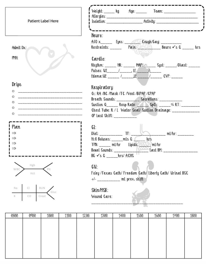 Nursing Report Sheet/Drug List/Nursing Assessment/Nursing | Etsy