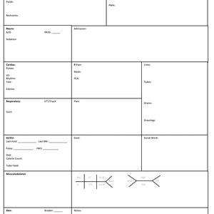 Nursing Report Sheet A