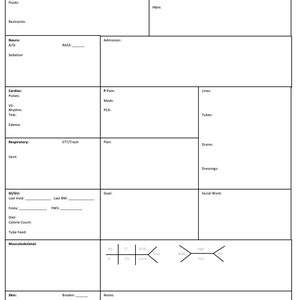 Nursing Report Sheet A