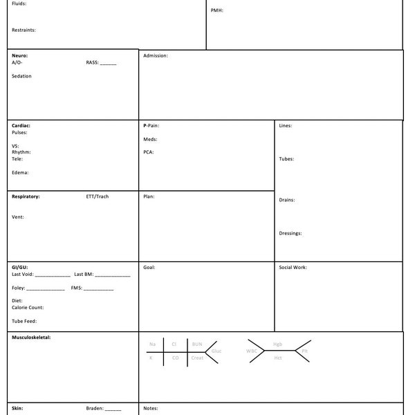 Nursing Report Sheet A