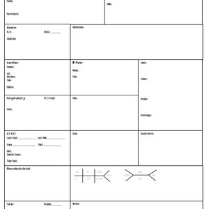 Nursing Report Sheet G