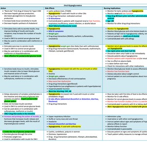 Hypoglycemics Chart/Nursing School/Nursing Study Guide/ Nursing Student/Nursing Student Study Guide