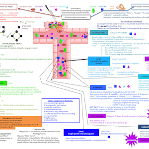 May include: A colorful diagram illustrating the process of hemostasis, or blood clotting, with detailed explanations of the different stages, factors involved, and medications used to treat clotting disorders. The diagram includes information on primary hemostasis, secondary hemostasis, anticoagulant drugs, antiplatelet drugs, and thrombolytic drugs.