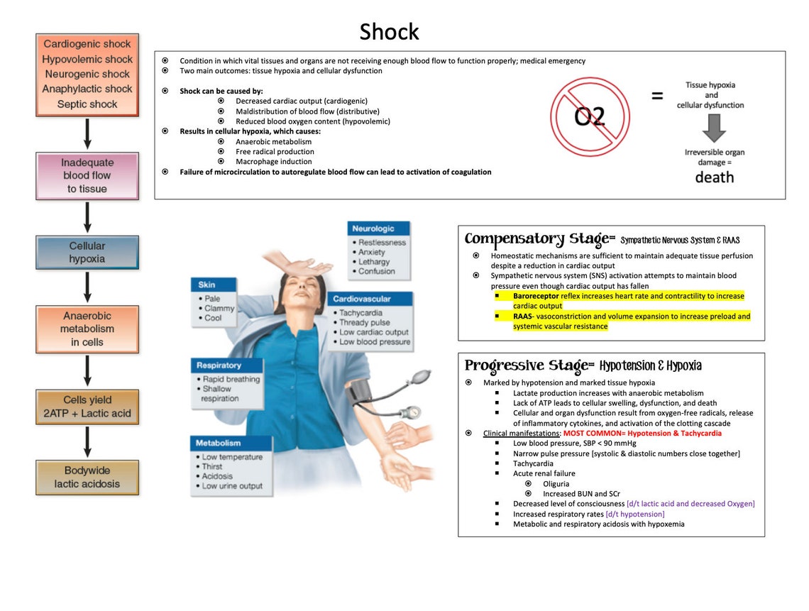 Shock Overview SHOCK Nursing Student Study Guide Etsy Australia