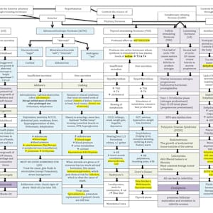 Hormone Chart/Nursing School/Nursing Study Guide/ Nursing Student/Nursing Student Study Guide