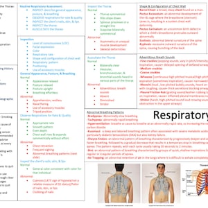 Respiratory System Assessment/Ventilation/Asthma/COPD/TB/Pneumonia/Nursing School/ Nursing Study Guide/Nursing Student