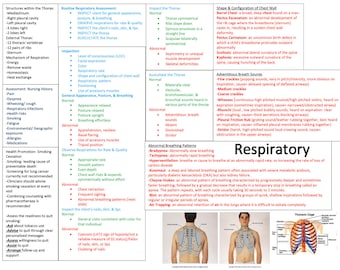 Respiratory System Assessment/Ventilation/Asthma/COPD/TB/Pneumonia/Nursing School/ Nursing Study Guide/Nursing Student