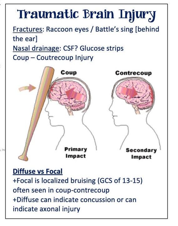 Tbi/neuro/seizure/drugs/ Nursing School/ Nursing Study Guide/ Etsy