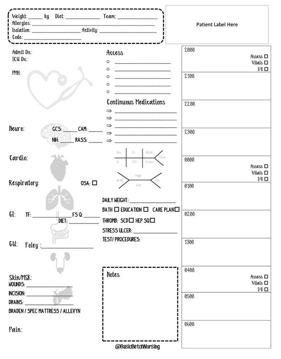 Jeanine's Nursing Report Sheet - Etsy
