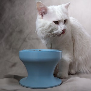 May include: A white cat with long fur is looking at a light blue ceramic pet food bowl. The bowl has a wide base and a raised center.