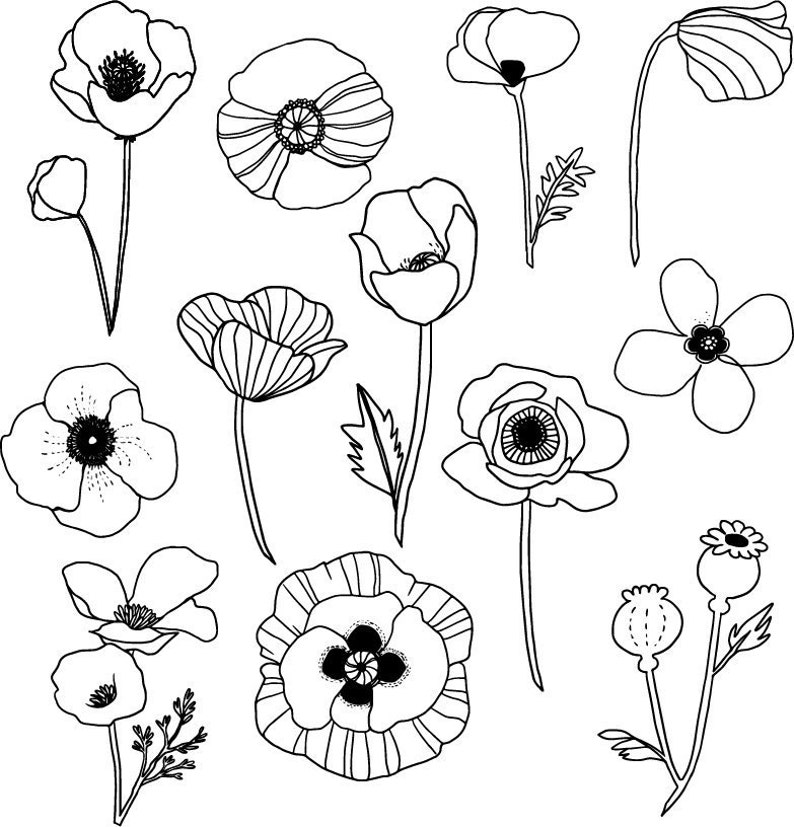 Poppy Clipart Clip Art Vector Printable Instant Download PNG | Etsy