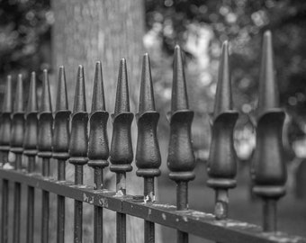 Black and White Wrought Iron Fence Boston Common Wall Art Fine Art Photography