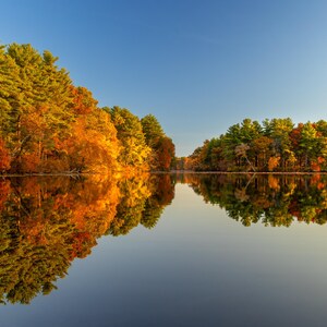 Fall Foliage mirror reflection in smooth water. Trees, Water, Reflection, Fall, Autumn, Photograph, Wall Art, Fine Art, Horizontal