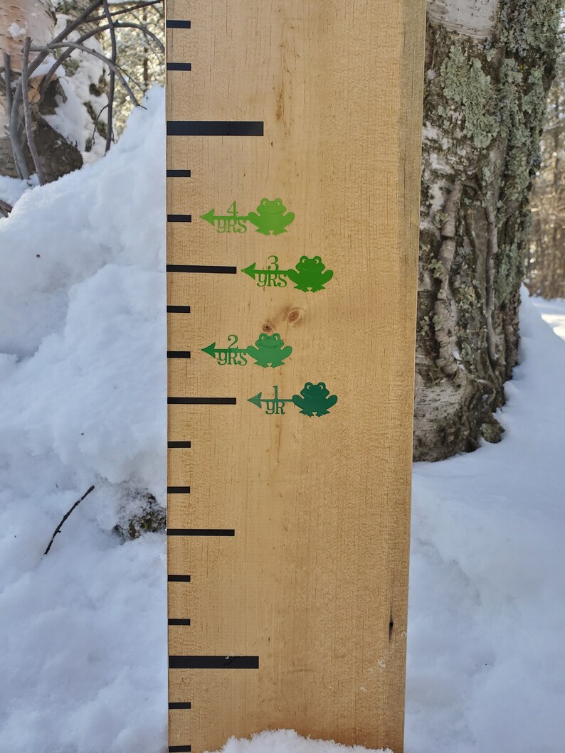 Frog/Toad Growth Chart Height Marking Arrows for Wooden ...