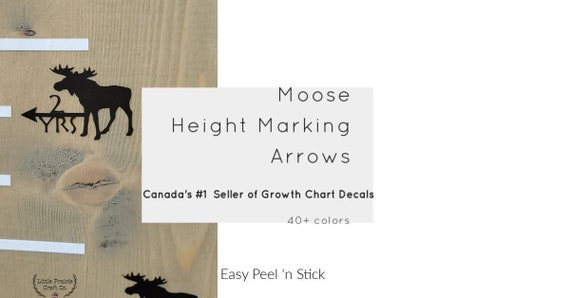 Moose Height Chart