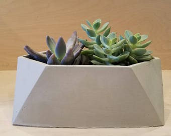 Concrete Planter, Succulent Planter, Housewarming Gift