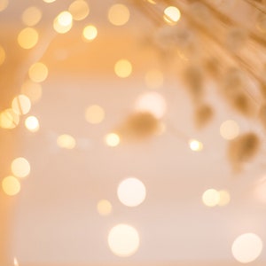Holiday lights - printed Artistic photography backdrop, Props, Great for styling use in product, blogger, ecommerce photos