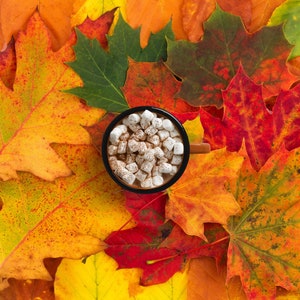 Yellow Red leaves - Artistic photography backdrop, Props, Great for styling use in product, blogger, ecommerce photos