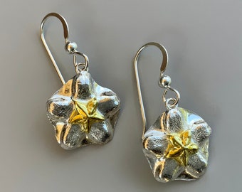 Sterling Silber Hoya Blüten Ohrringe, 22K Gold Akzent