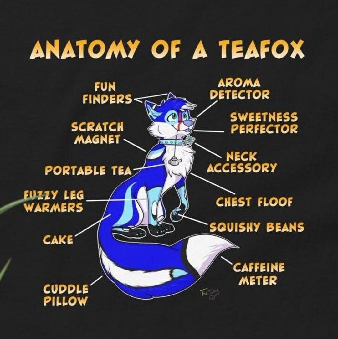 Anatomy of A Teafox Unisex Cotton Tea Shirt Australia