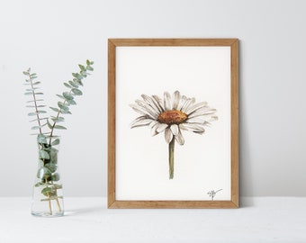 Daisy Watercolor - Giclee Print