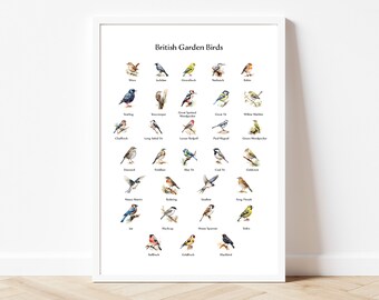 British Garden Bird Identification Print