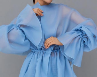 Könnte beinhalten: Eine hellblaue, durchsichtige Bluse mit langen, voluminösen Ärmeln und einer eingezogenen Taille. Die Bluse hat einen hohen Ausschnitt und eine lockere Passform.