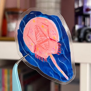 Bunter Hufeisenkrabben-Aufkleber, wasserfest, Vinyl, mit klarem Hintergrund – Limulidae – wasserfester Krebsfisch-Meeresaufkleber