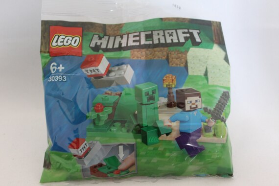 lego minecraft 30393