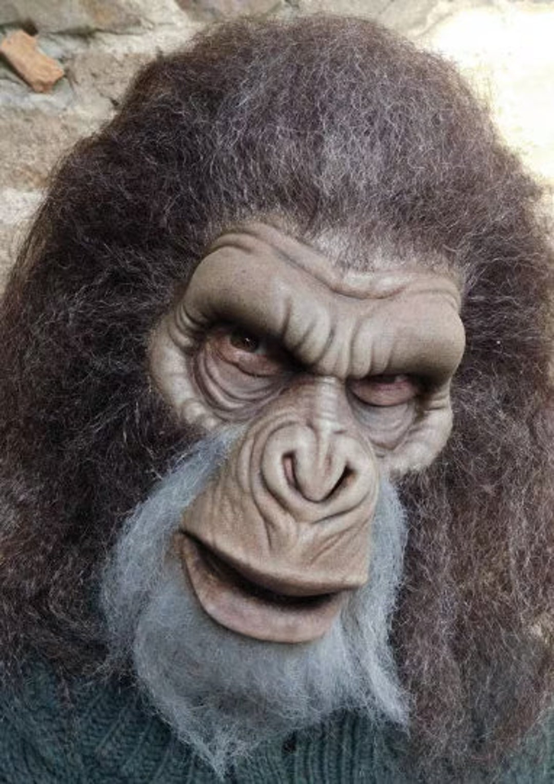 Monkey Face Shell MONKEY - Etsy