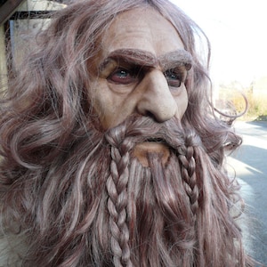 May include: A close-up of a man's face with long, grey and brown hair and a braided beard. The hair is styled in a long, flowing style. The beard is braided on both sides.