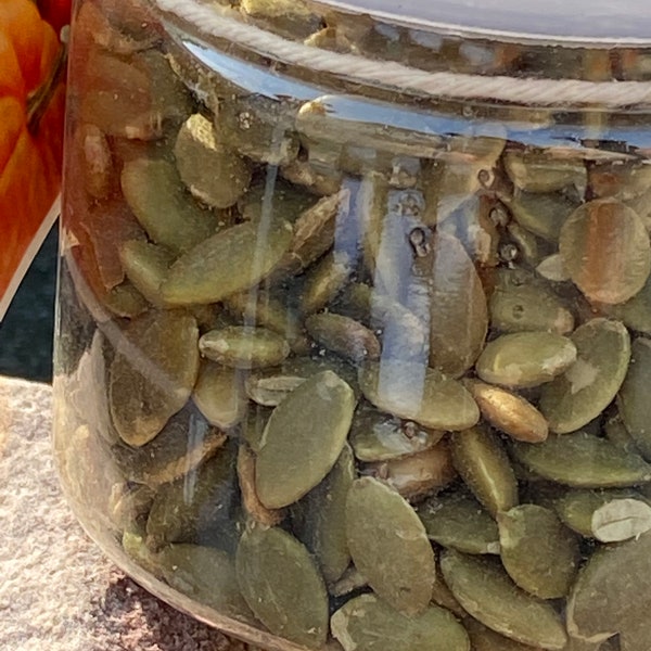 Roasted Pumpkin seeds